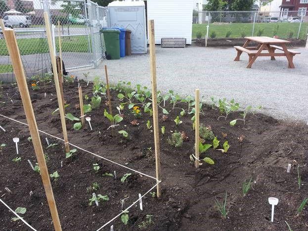 jardin-3.jpg